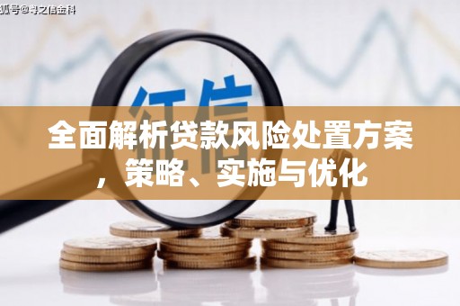 茂县全面解析贷款风险处置方案，策略、实施与优化