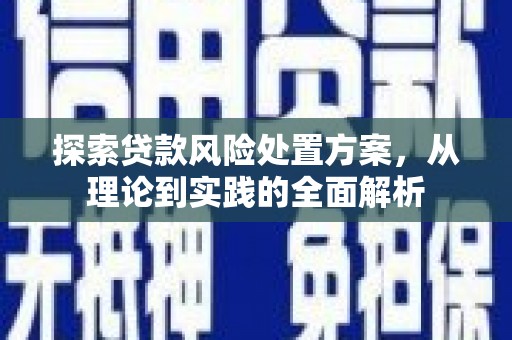 茂县探索贷款风险处置方案，从理论到实践的全面解析