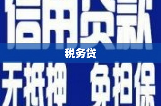 茂县税务贷