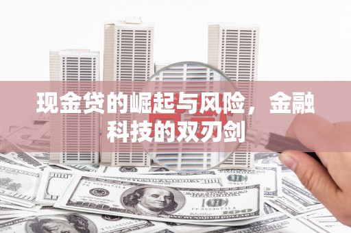 茂县现金贷的崛起与风险，金融科技的双刃剑