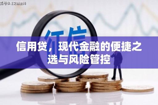 茂县信用贷，现代金融的便捷之选与风险管控