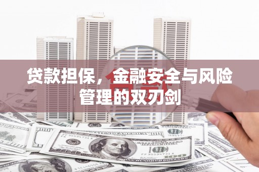 茂县贷款担保，金融安全与风险管理的双刃剑