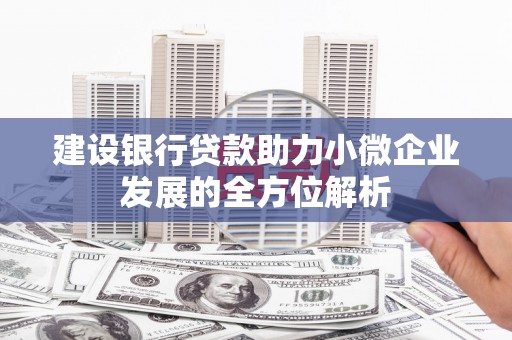 茂县建设银行贷款助力小微企业发展的全方位解析
