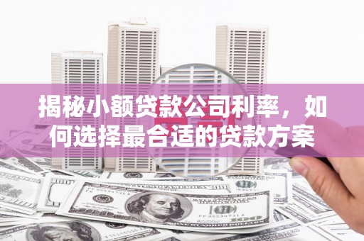 茂县揭秘小额贷款公司利率，如何选择最合适的贷款方案