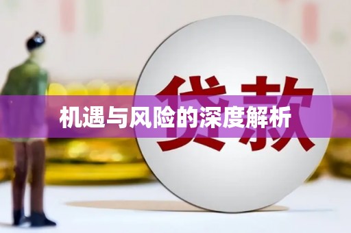 茂县机遇与风险的深度解析