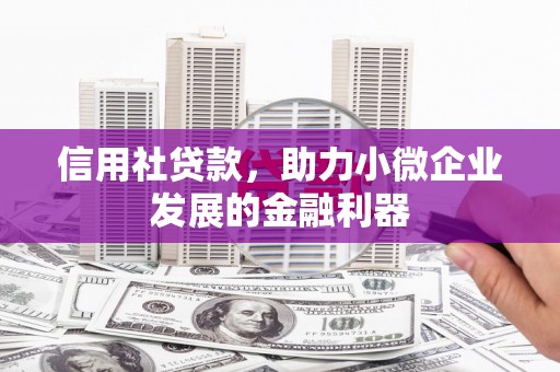 茂县信用社贷款，助力小微企业发展的金融利器