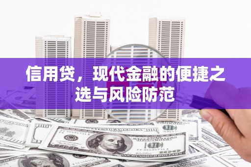 茂县信用贷，现代金融的便捷之选与风险防范