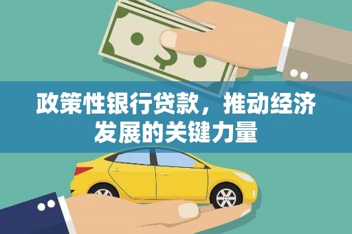 茂县政策性银行贷款，推动经济发展的关键力量