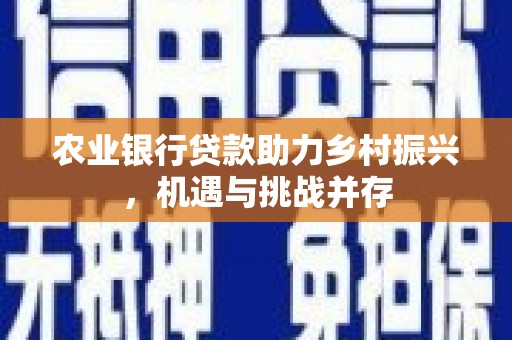 茂县农业银行贷款助力乡村振兴，机遇与挑战并存