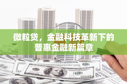 茂县微粒贷，金融科技革新下的普惠金融新篇章