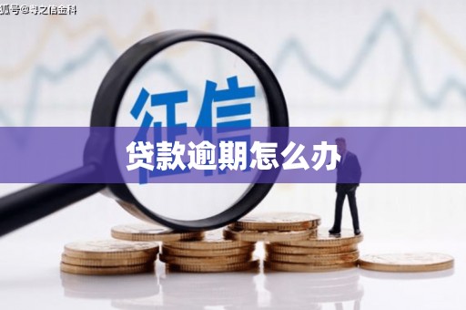 茂县贷款逾期怎么办