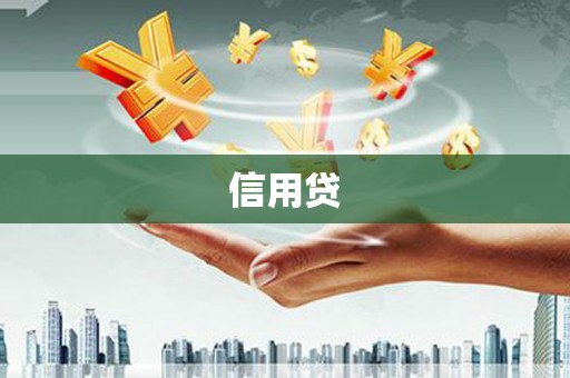 茂县信用贷