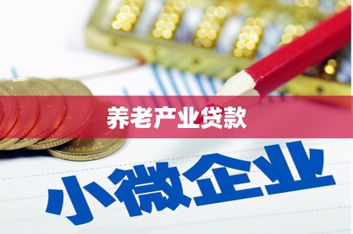 茂县养老产业贷款