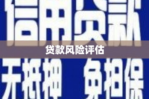 茂县贷款风险评估