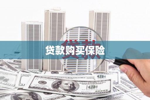 茂县贷款购买保险