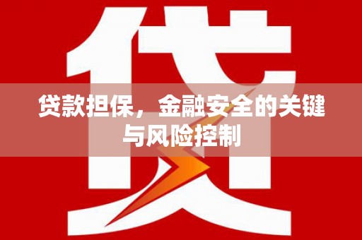 茂县贷款担保，金融安全的关键与风险控制