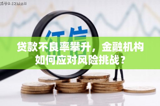 茂县贷款不良率攀升，金融机构如何应对风险挑战？