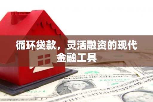茂县循环贷款，灵活融资的现代金融工具