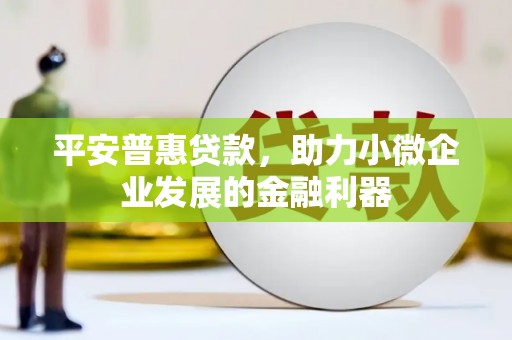茂县平安普惠贷款，助力小微企业发展的金融利器