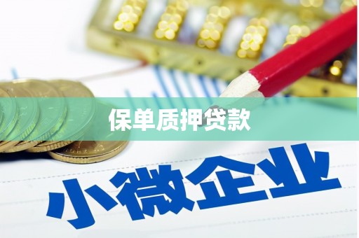 茂县保单质押贷款