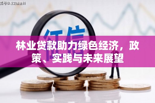 茂县林业贷款助力绿色经济，政策、实践与未来展望