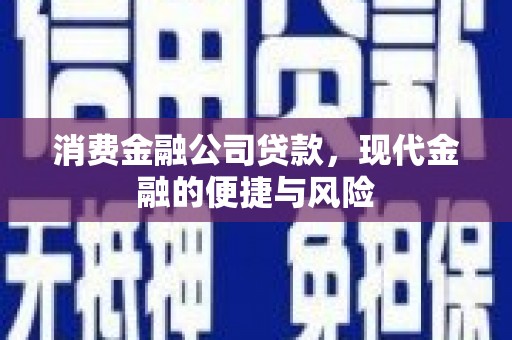 茂县消费金融公司贷款，现代金融的便捷与风险