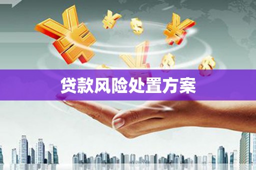 茂县贷款风险处置方案