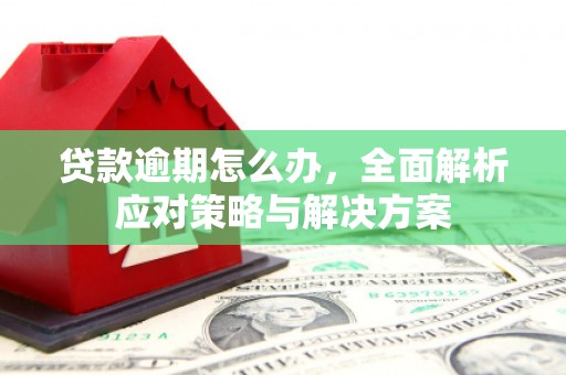 茂县贷款逾期怎么办，全面解析应对策略与解决方案