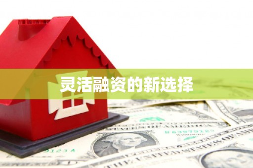 茂县灵活融资的新选择