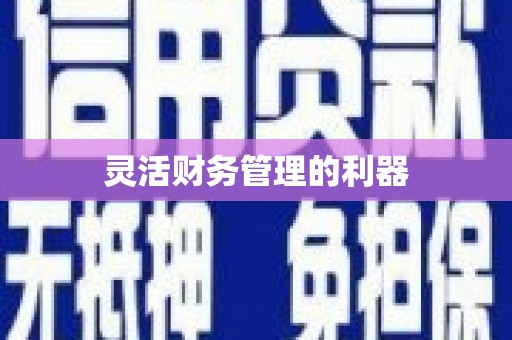 茂县灵活财务管理的利器