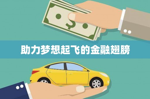 茂县助力梦想起飞的金融翅膀