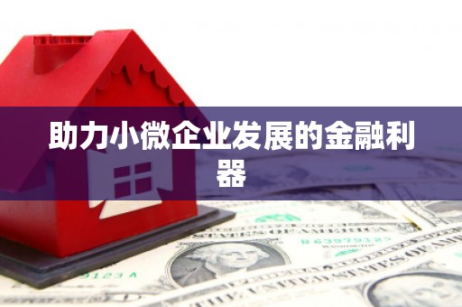 茂县助力小微企业发展的金融利器