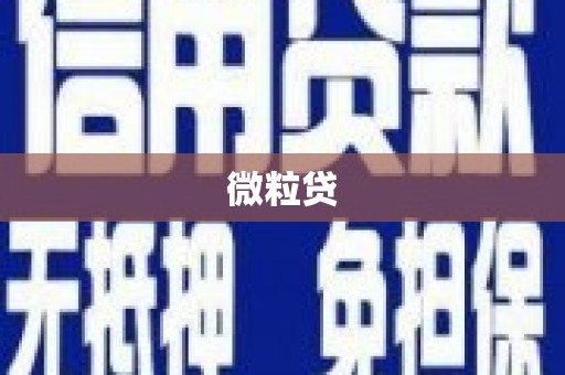 茂县微粒贷