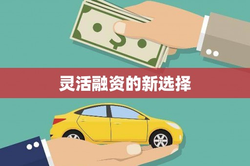 茂县灵活融资的新选择