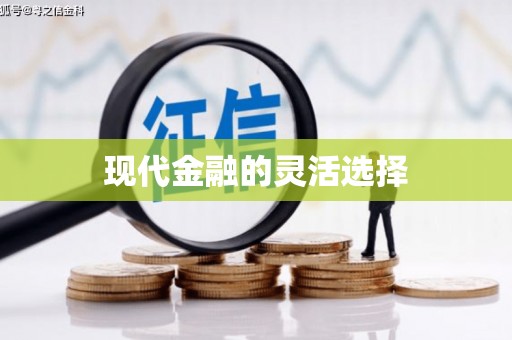 茂县现代金融的灵活选择