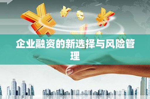 茂县企业融资的新选择与风险管理