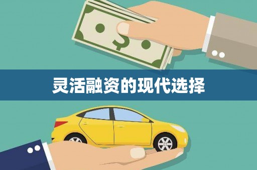 茂县灵活融资的现代选择