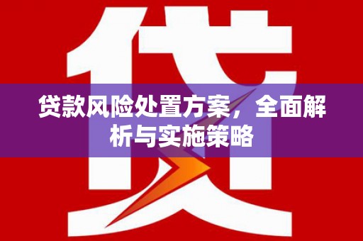 茂县贷款风险处置方案，全面解析与实施策略