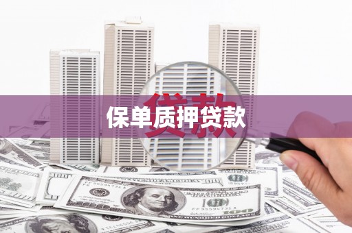 茂县保单质押贷款