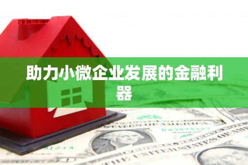 茂县助力小微企业发展的金融利器