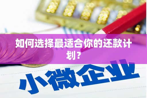 茂县如何选择最适合你的还款计划？