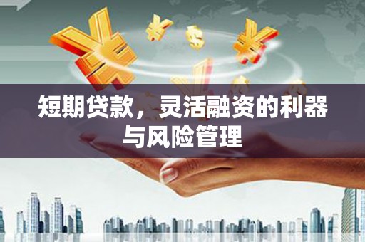 茂县短期贷款，灵活融资的利器与风险管理