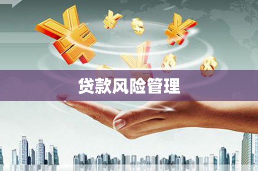 茂县贷款风险管理
