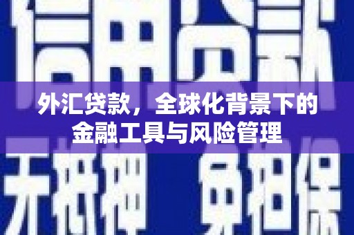 茂县外汇贷款，全球化背景下的金融工具与风险管理