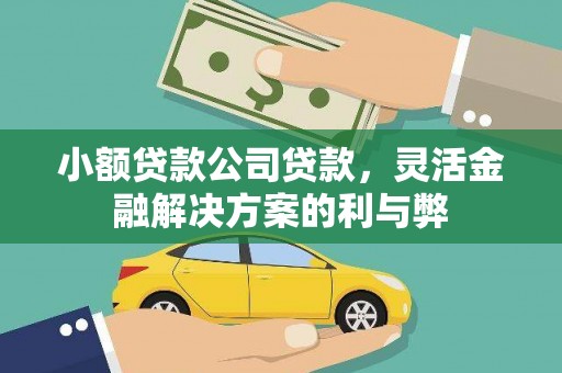 茂县小额贷款公司贷款，灵活金融解决方案的利与弊