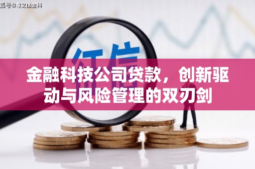茂县金融科技公司贷款，创新驱动与风险管理的双刃剑